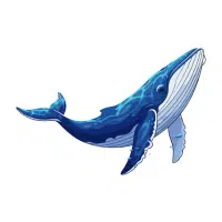 Blue Whale