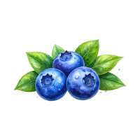 Blueberry