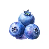 Blueberry