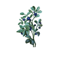 Blueberry