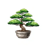 Bonsai