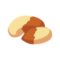 Brazil Nut