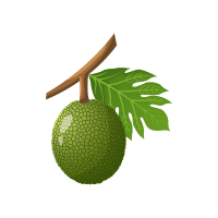 Breadfruit
