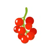 Buffaloberry