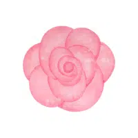 Camellia