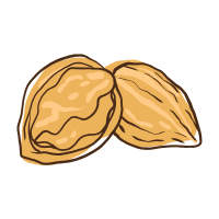 Candlenut
