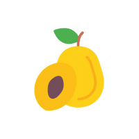 Canistel