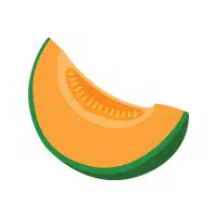 Cantaloupe