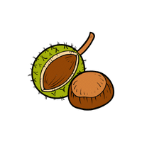 Chestnut