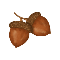 Chestnut