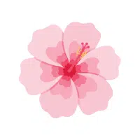 Cleome