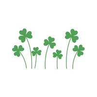 Clover | Climbing Plants Names