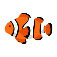 Clownfish