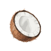 Coconut