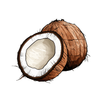 Coconut