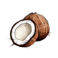 Coconut