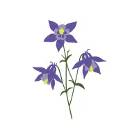 Columbine
