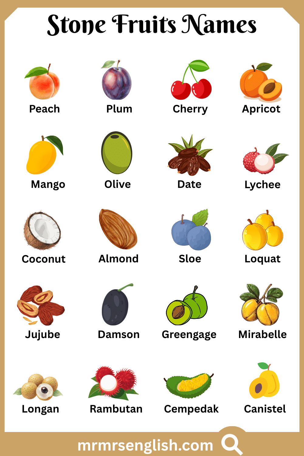 Common Names of Stone Fruits in English with Pictures