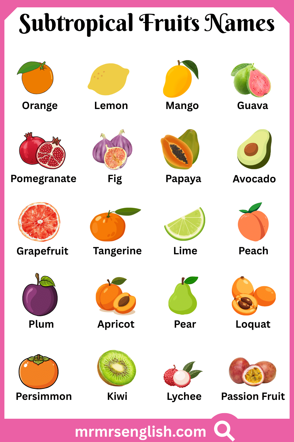 Common Names of Subtropical Fruits in English with Pictures