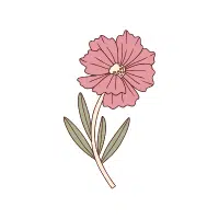 Coreopsis
