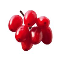 Cornelian