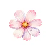 Cosmos