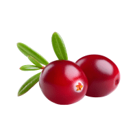 Cranberry