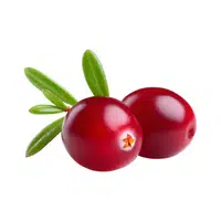 Cranberry