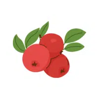 Cranberry