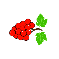 Cranberry