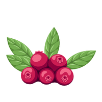 Cranberry