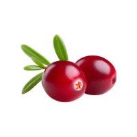 Crowberry