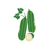 Cucumber