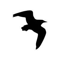 Darkowl