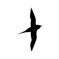 Darkwing
