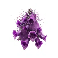 Digitalis