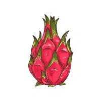 Dragon Fruit