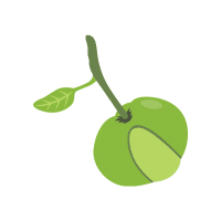 Elephant Apple | Hard Fruits Names