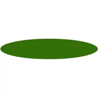 Ellipse | Curved Shapes Names