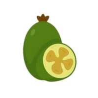 Feijoa