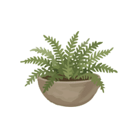 Fern | Climbing Plants Names