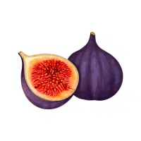 Fig | Wild Fruits Names