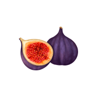 Fig