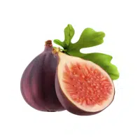 Fig