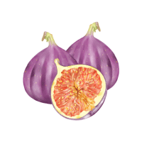 Fig