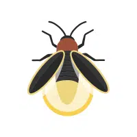 Firefly