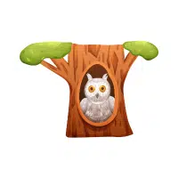 Forestowl