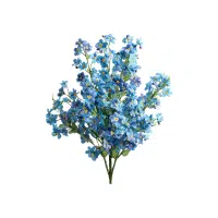 Forget-Me-Not