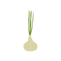 Garlic | Climbing Plants Names