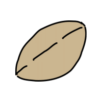 Ginkgo Nut | Hard Fruits Names